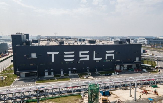 Tesla проти Tesla. Компанія Ілона Маска подала до суду на індійську тезку