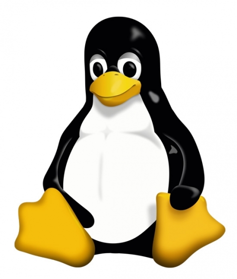 Linux исполнилось 25 лет