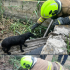 У Краматорському районі врятували собак, які опинилися у водоймищі