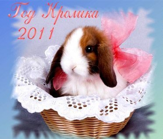 KRAMATORSK.INFO поздравляет всех с новым 2011 годом! 