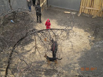 В Краматорске на стройке по ул. Дворцовой пролилась первая кровь
