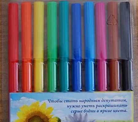Регионал объяснил детям, как стать депутатом