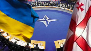 МИД: Украина де-факто получила ПДЧ