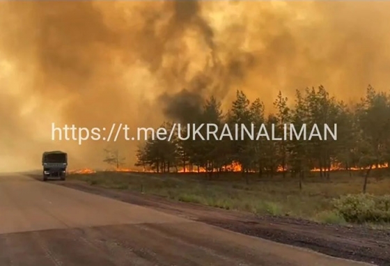 У Лиманських лісах сталася масштабна пожежа