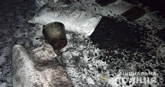 Банду из 30 человек задержали за кражу угля из поезда 