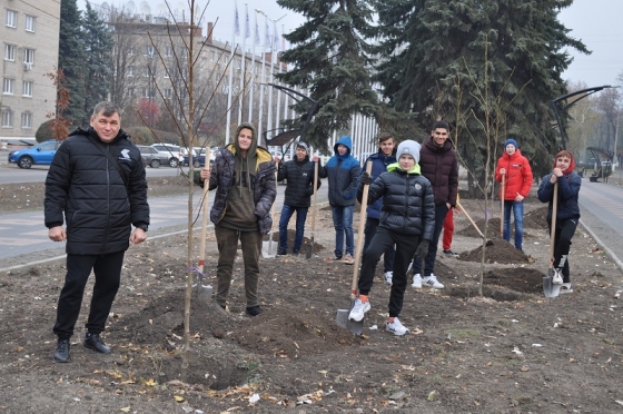 У Краматорську висадили саджанці платана