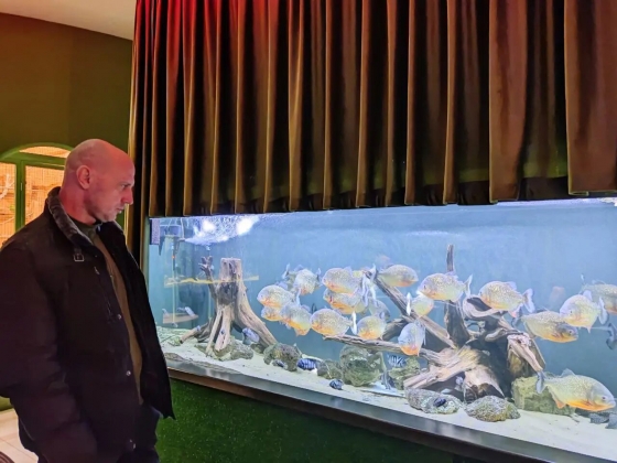 У Краматорську працює океанаріум з екзотичними рибками: що там особливого для відпочинку (фоторепортаж)