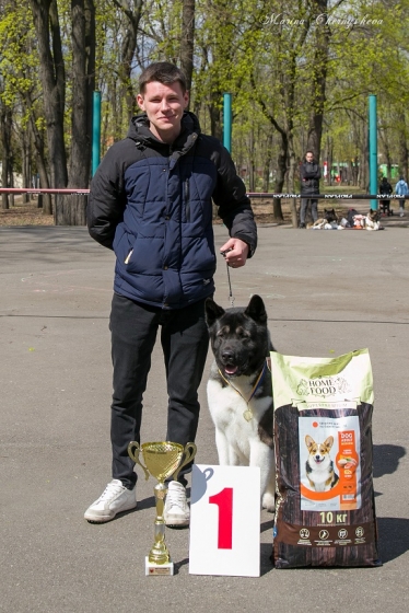 В Краматорске в парке им. Пушкина прошла выставка собак