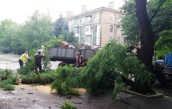 В Краматорске ураган повалил деревья (фото, видео)