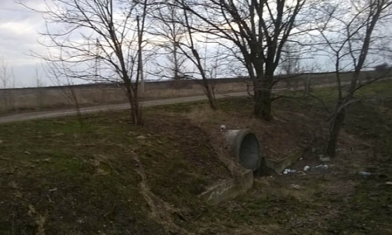 В Добропольском районе обнаружен скелет женщины 