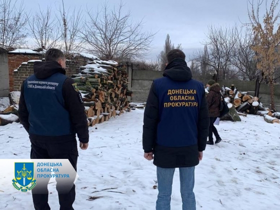 Вирубали на 1,2 млн грн - на Донеччині судитимуть організовану групу «чорних» лісорубів