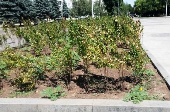 площадь Мира