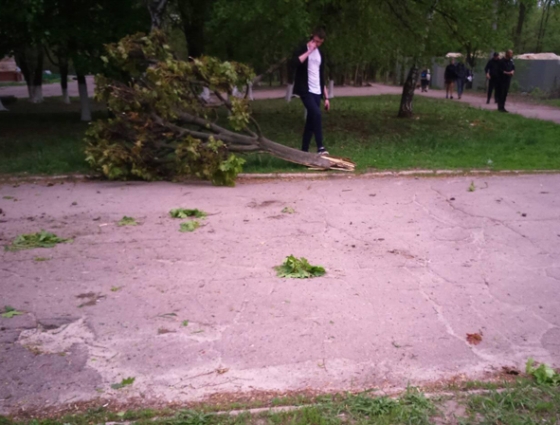 ДТП