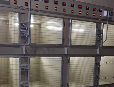 У Краматорську збирають кошти на карантинні бокси для тварин і в той же час вбивають та труять собак