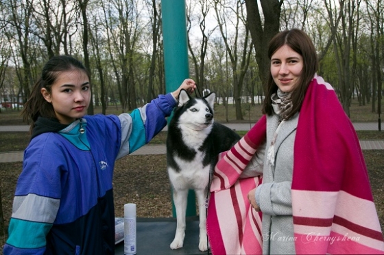 В Краматорске в парке им. Пушкина прошла выставка собак