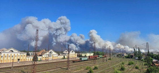 У Лиманських лісах сталася масштабна пожежа