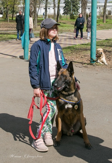 В Краматорске в парке им. Пушкина прошла выставка собак