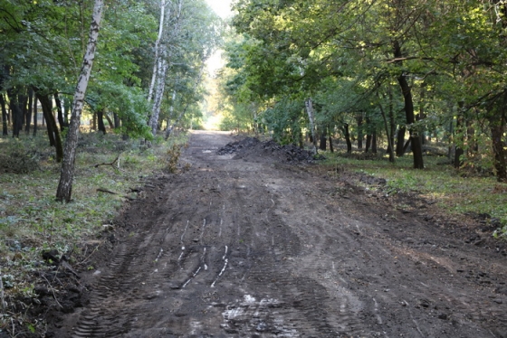 У Краматорську почали реконструкцію ще одного парку