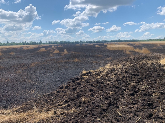 У Краматорському районі внаслідок обстрілу вогнем пожежі знищено 12 га пшениці (фото)
