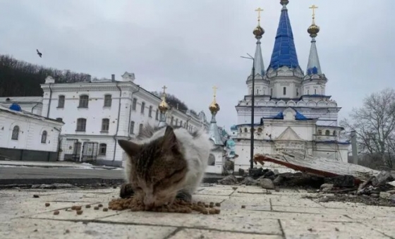 Проблеми з електрикою та центральним водопостачанням: очільник Святогірська розповів, як живе місто неподалік фронту