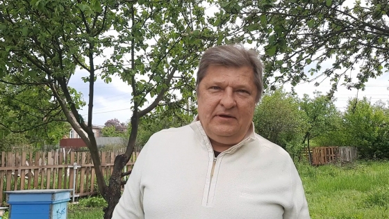 В пчелином улье поселилась рептилия или что делать если вы повстречали змею