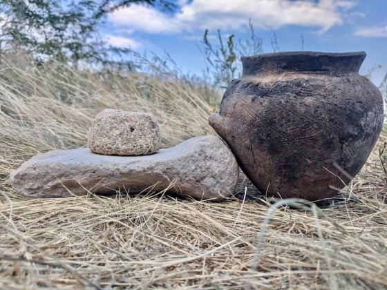 В Запорожской области во время раскопок на Мамай-горе археологи нашли артефакты древних греков и скифов