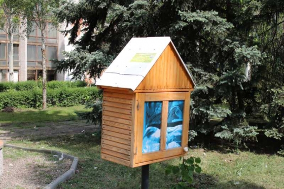 городские проекты