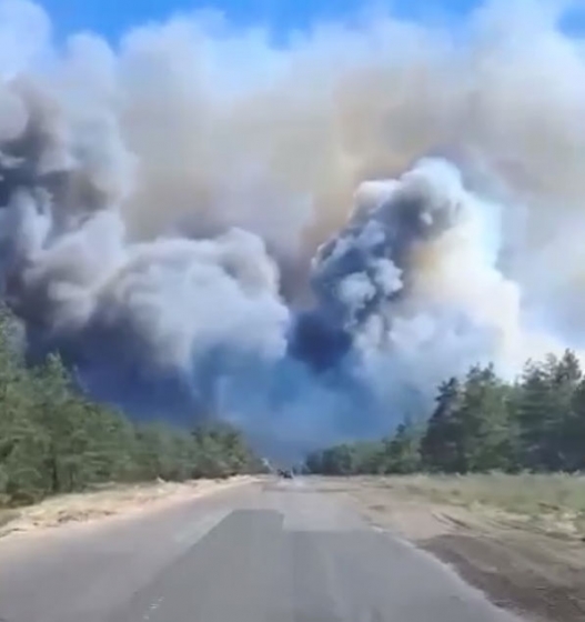 У Лиманських лісах сталася масштабна пожежа