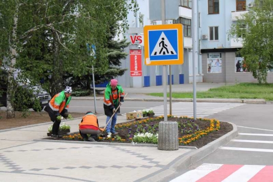 цветы на новых клумбах
