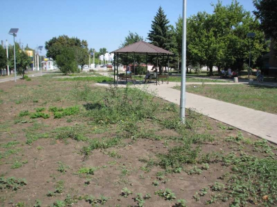 городские проекты