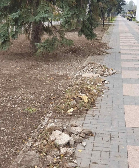 В Краматорске начались работы по подготовке к осенней высадке деревьев и весенней посадке цветов 