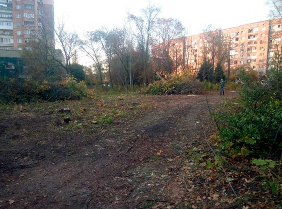В Краматорском парке Юбилейный вырубили деревья на месте будущего ЦНАП 