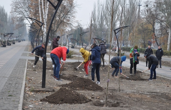 У Краматорську висадили саджанці платана