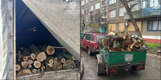 Патрульні продовжують виявляти у Краматорську, ймовірно, незаконно порублену деревину