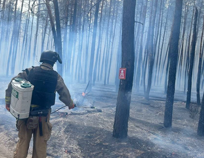 Лісову пожежу у Краматорському районі гасили протягом 4 годин