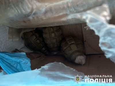 У мешканця Краматорського району поліція вилучила гранати та два гранатомети