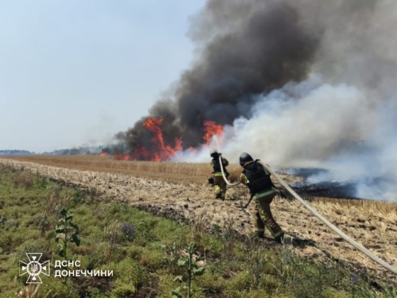 На Донеччині через обстріли вирують пожежі в екосистемах