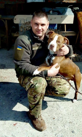 На Житомирщине в ДТП погиб военный ВСУ, который ехал на собственную свадьбу