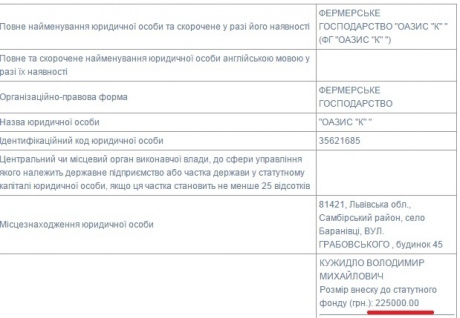 Шесть депутатов &quot;БПП&quot; во Львовском облсовете скрыли свой бизнес