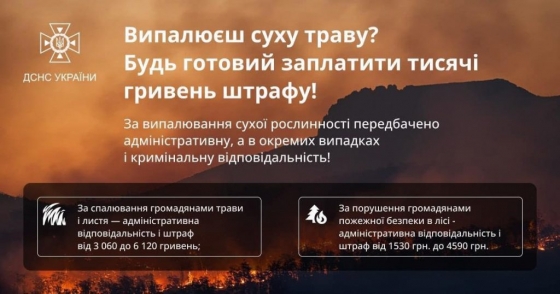 Випалюєш сухостій – будь готовий заплатити тисячі гривень штрафу!