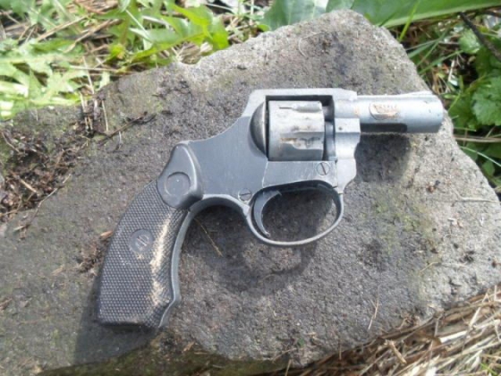 Полицейские изъяли оружие у жителей Александровки (фото)