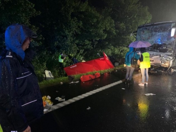 Девять человек погибли в результате ДТП в Польше 