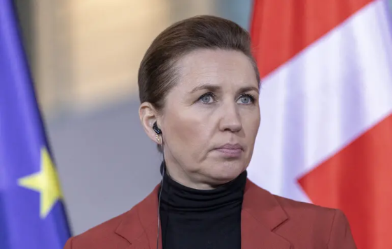 Прем&#039;єрка Данії: Україна успішно захищає себе