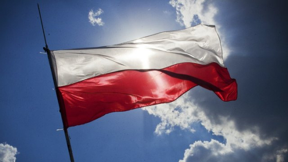 ЗМІ: польська фірма втратила контракт в Україні після звинувачень у військовій співпраці з РФ