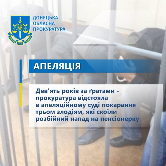 Дев’ять років за ґратами - прокуратура відстояла в апеляційному суді покарання трьом злодіям, які скоїли розбійний напад на пенсіонерку
