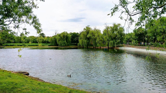 Під обстрілами, але живе: весна у Краматорську на фото