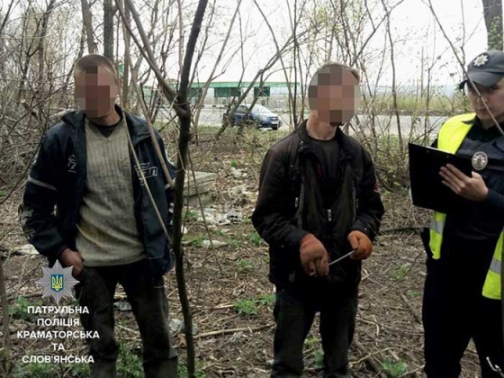 Между Краматорском и Славянском незаконно рубили деревья 