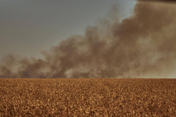 Від пожеж підрозділами ДСНС врятовано понад 1,5 тисячі гектарів зернових, найбільше пожеж виникло на Донеччині 