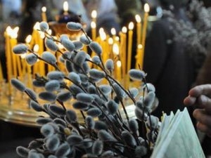 Сегодня православные и греко-католики отмечают Вербное воскресенье