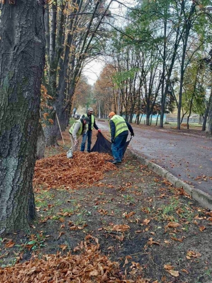 У Краматорську КП ДРУАС вивозить опале листя